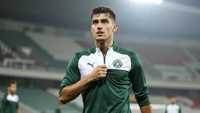 Konyaspor döneminde Aykut Kocaman'ın Fenerbahçe'ye transfer etmek istediğini açıklayan Boşnak golcü, İtalya'da 71 maçta...